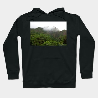 Iao Valley State Park Study 5 Hoodie